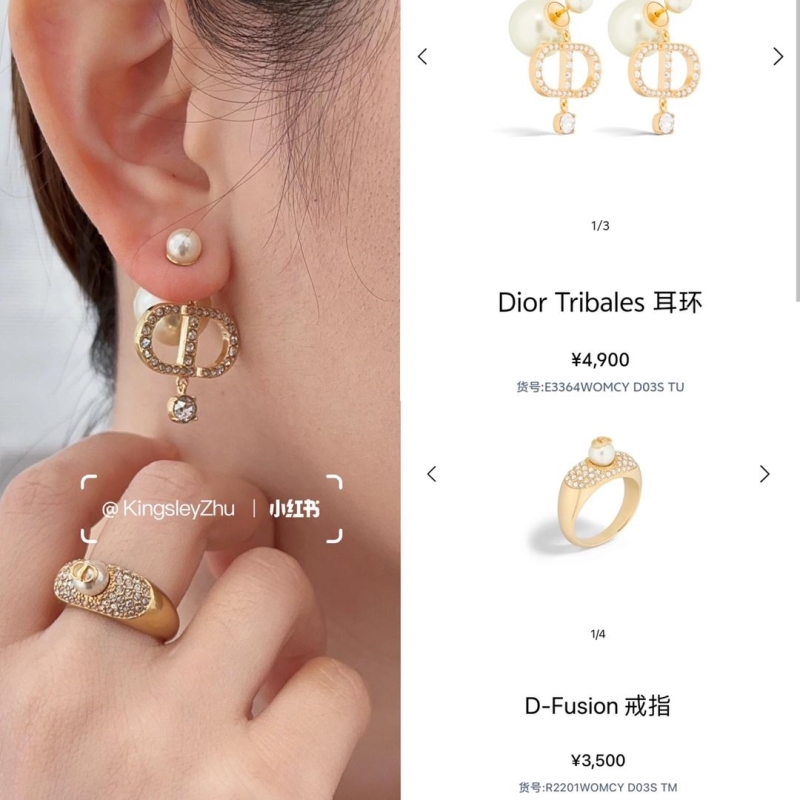 Christian Dior Earrings